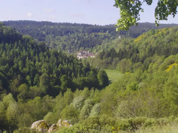 SUR LE CHEMIN DE STEVENSON en Liberté - 2ème partie