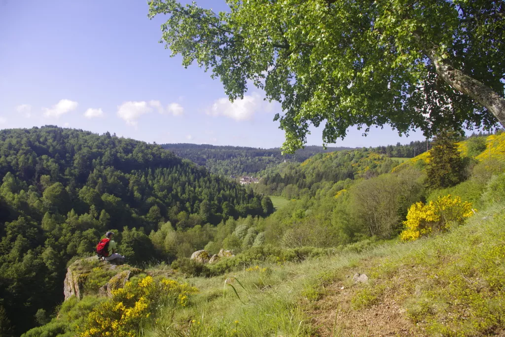 media-librarydh5qid10ugf92SBdALS