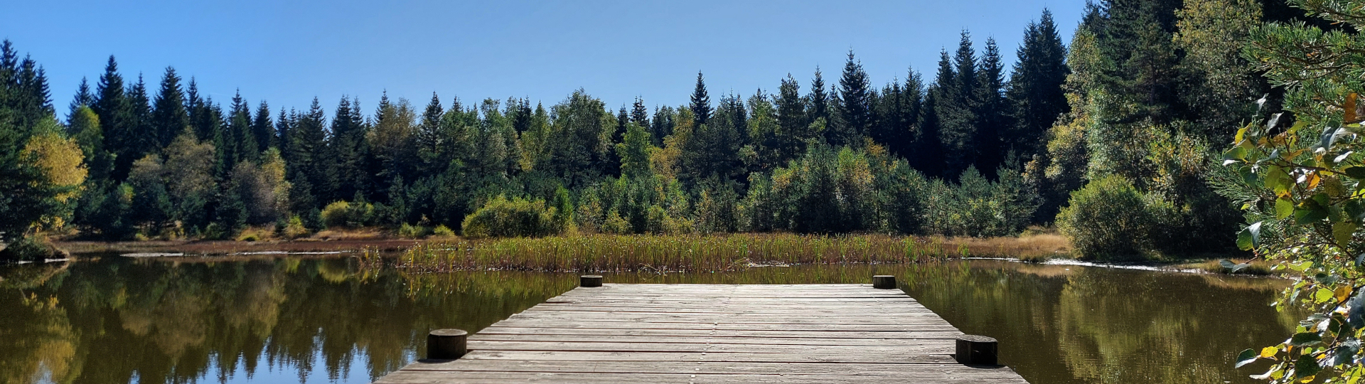 THE COMPLETE SUR LE CHEMIN DE STEVENSON self-guided