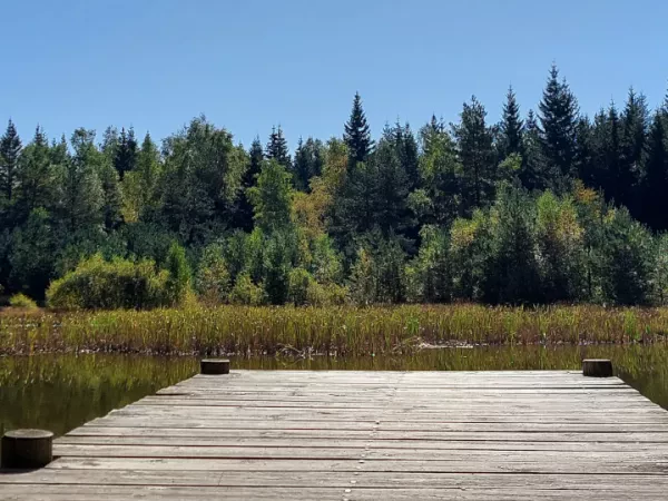 THE COMPLETE SUR LE CHEMIN DE STEVENSON self-guided