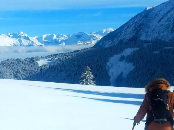 BARGY, SHORT BREAK IN SNOWSHOES