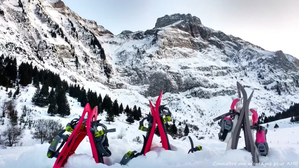 media-libraryeu01f821k5898lMyNIT