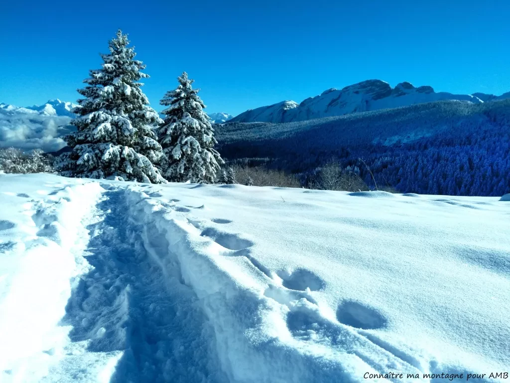 media-libraryflei0nlh8eh7dlGXlXR