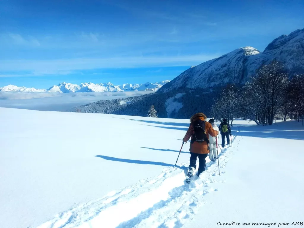 media-library442jsu8se46c23429FR