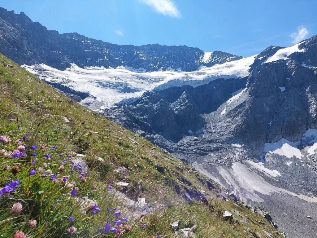 media-libraryi7dilhgi4js91r4cNDT