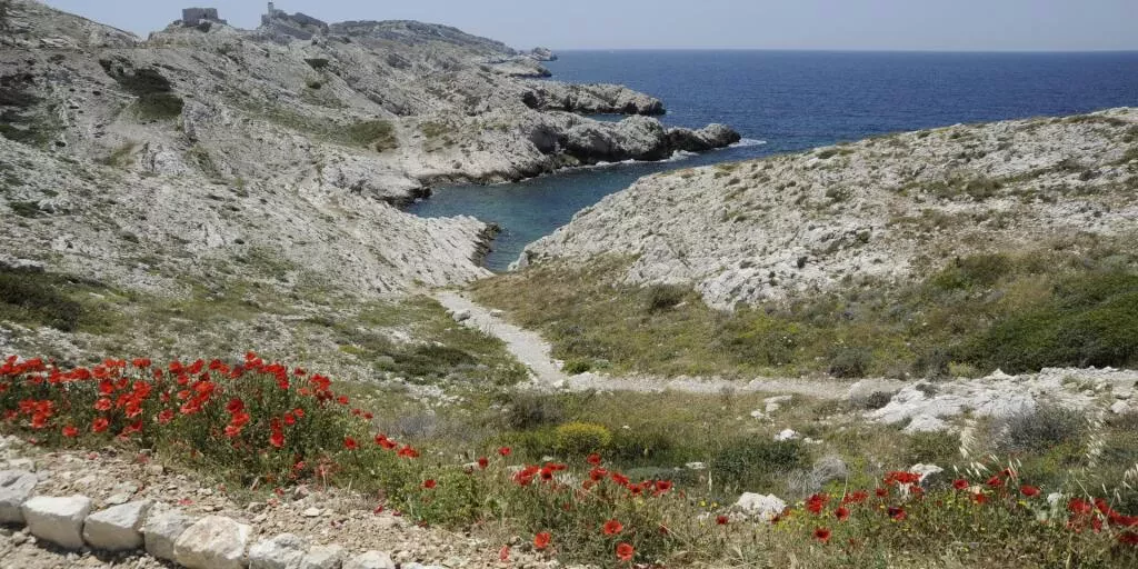 media-libraryuo4eic0ql6gt3OTNecU