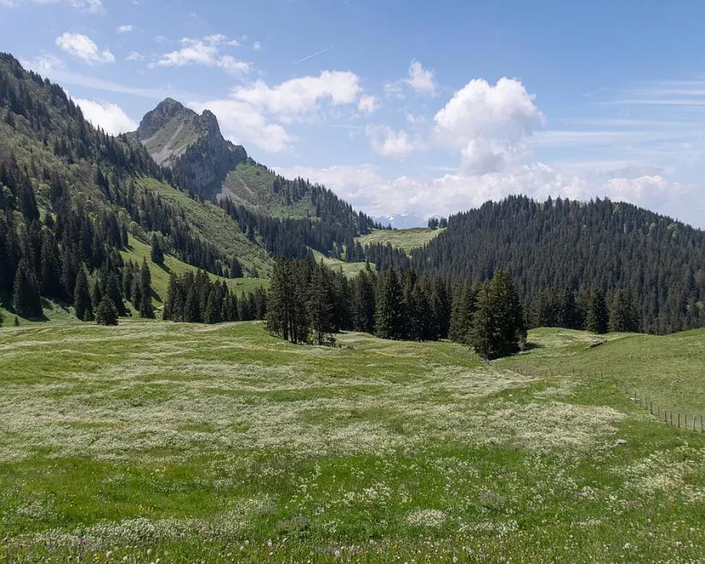 media-librarynsgl9666vts3eWcllcS