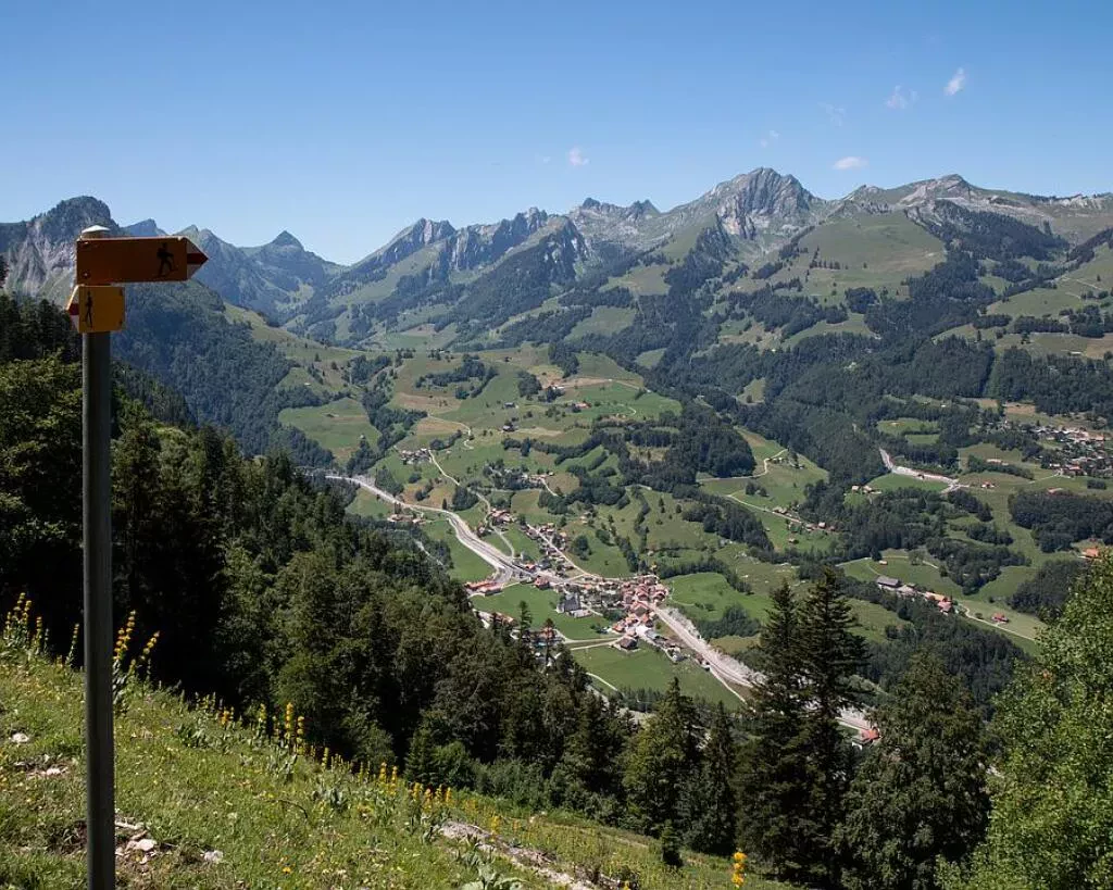 media-library15feopp1t6rd3ZtXnIR