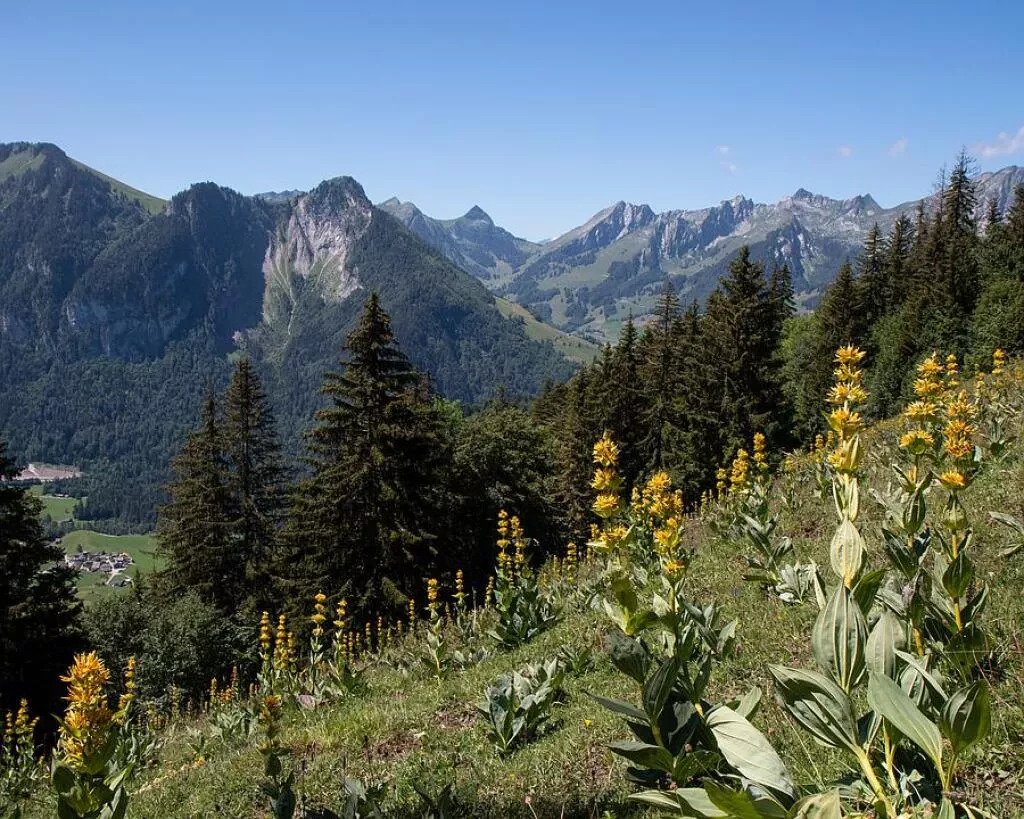 media-librarydpkd10d2q3lsdlxEbRT