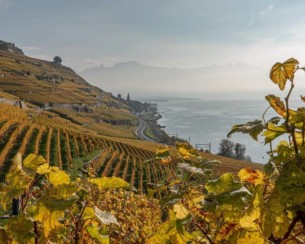 media-librarypuh8d9fvl8nvbkcfXoT