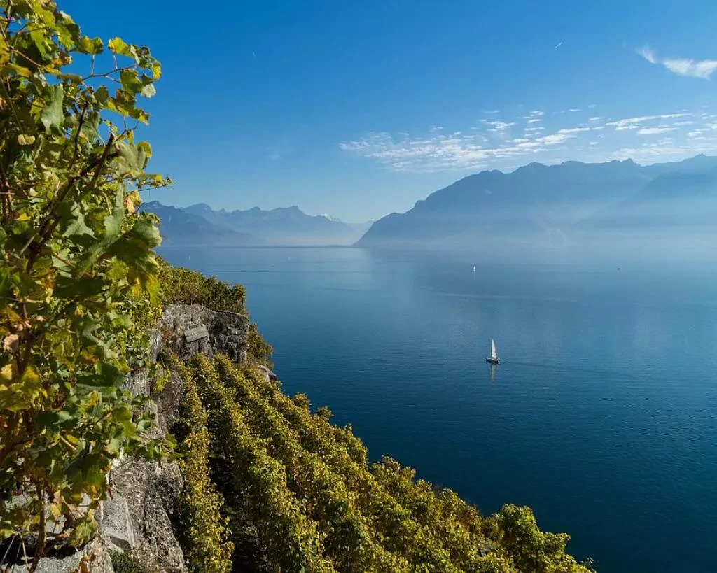 media-libraryk3nm9c1iokel2Zo8PZR