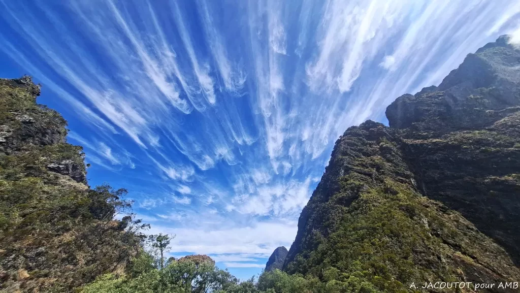 media-librarys6lkcosihotf5aj87uR