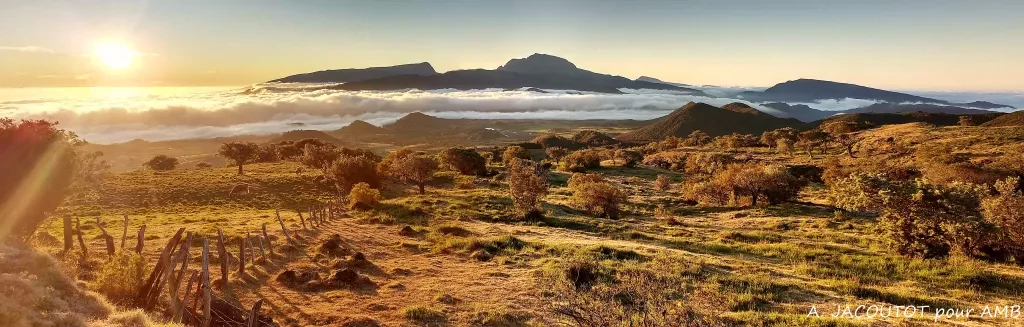 media-librarye0r9pp8a0h4seNR15aS