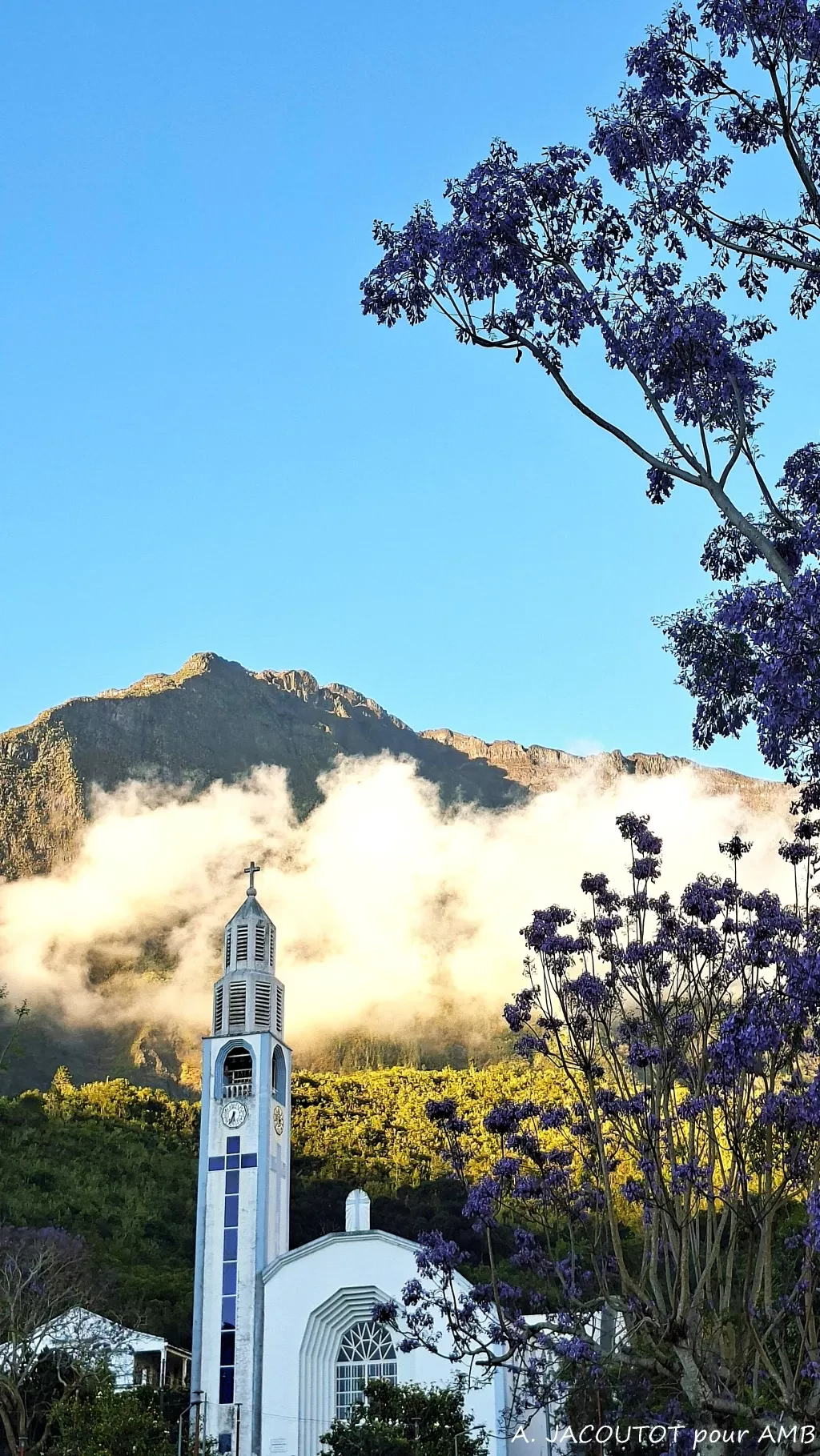 media-library2nob9nii4duvcyfsTeS