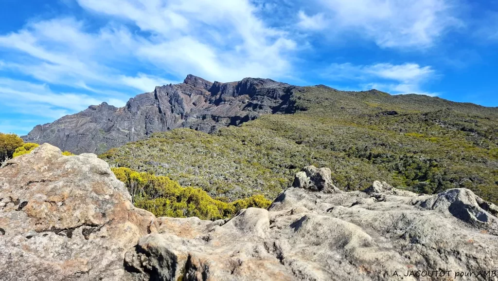 media-library9hmicgeugoaj5qTtiNV