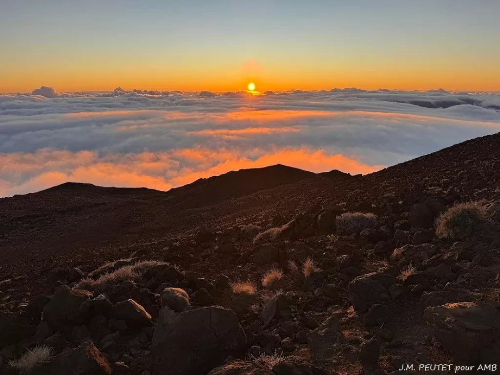 media-library5gejoc8k9ikbcvlcBVS