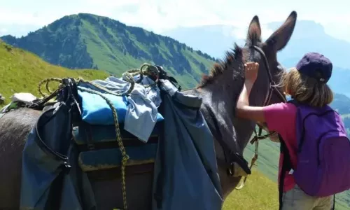 Randonner avec des enfants