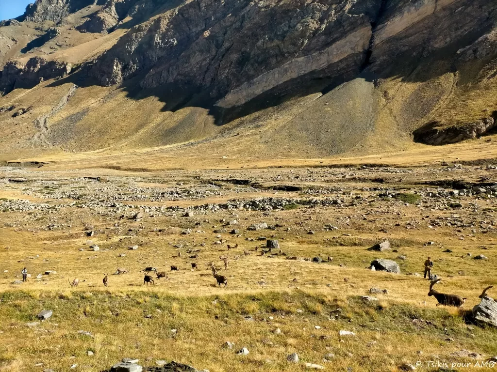 media-libraryp61fdf3nsp5k8YVnDhy