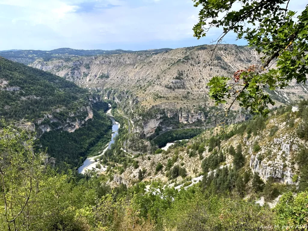 media-libraryd3fqj985gkoq6OiXaAw