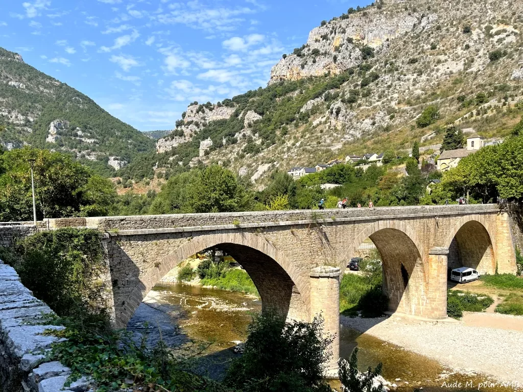 media-libraryvqb05vo2je7a2XYtBbx