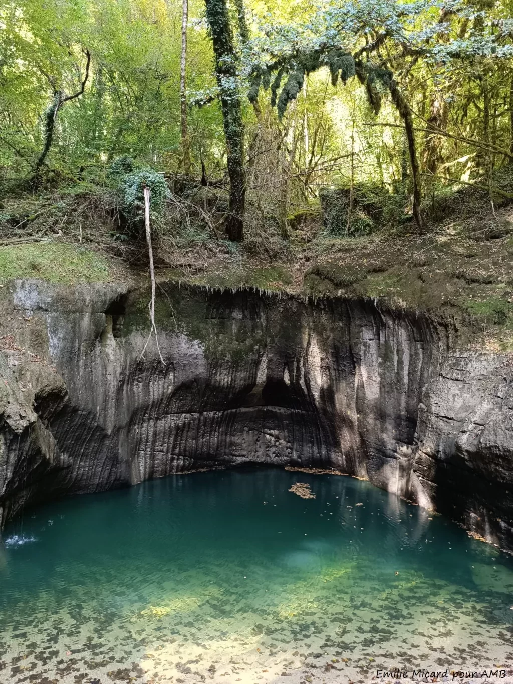 media-libraryhfual7fl9amd09myNQy