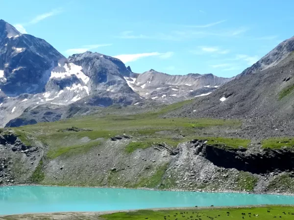 GRAND TOUR OF THE VANOISE 9 DAYS Self-guided