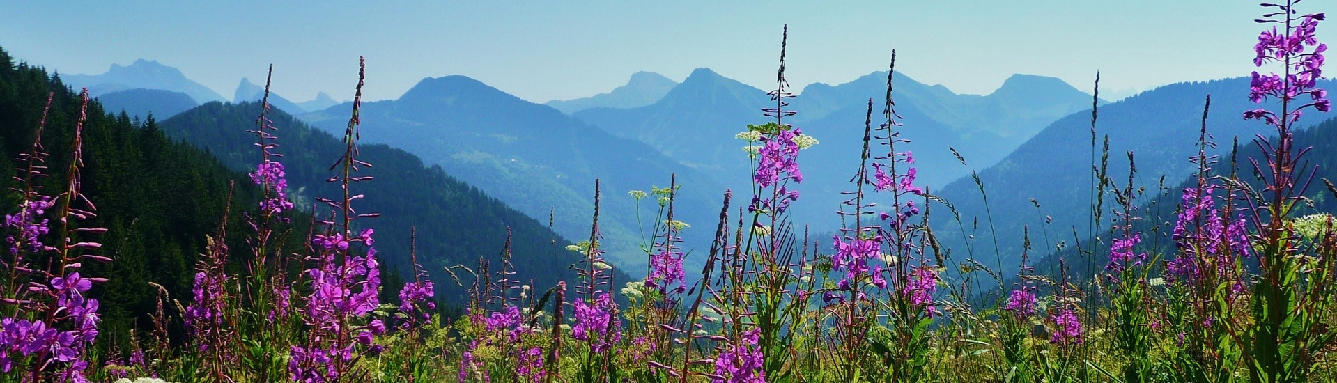 Chablais, Aravis, Aiguilles Rouges...