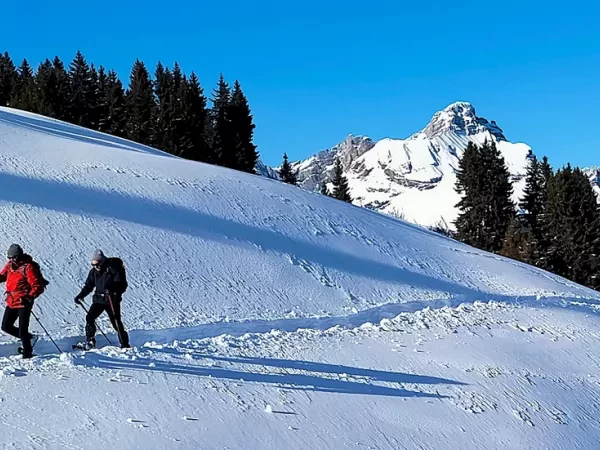 SNOWSHOEING IN THE MONT BLANC COUNTRY