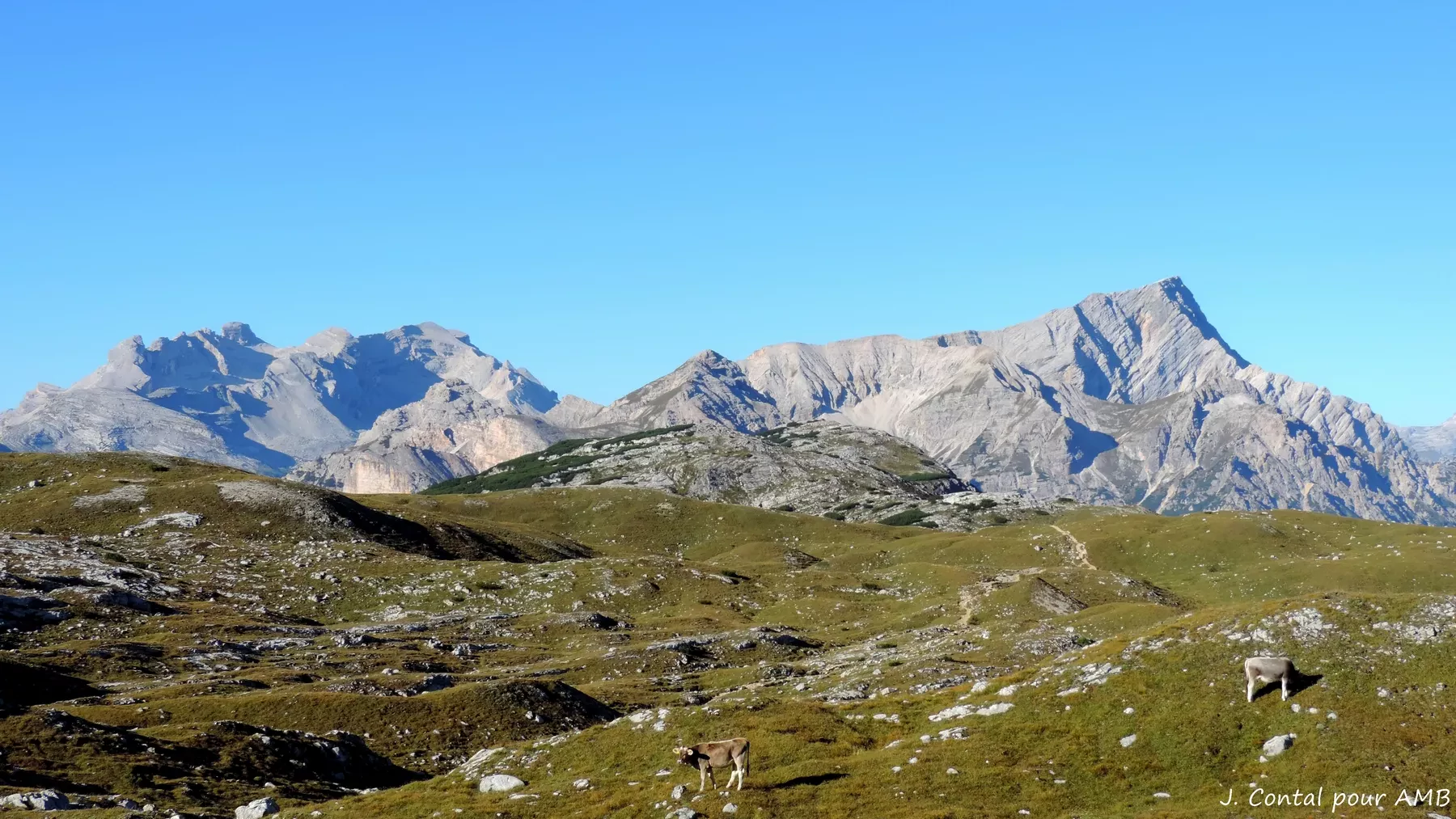 Pano des Dolo Cortina (2)