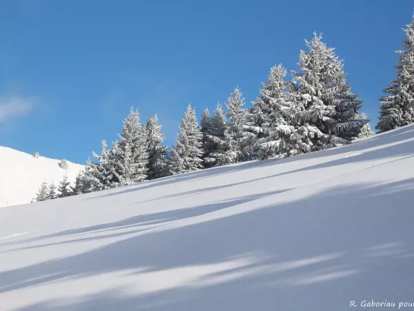 BREAK RAQUETTES ET REFUGES AUX PORTES DU SOLEIL