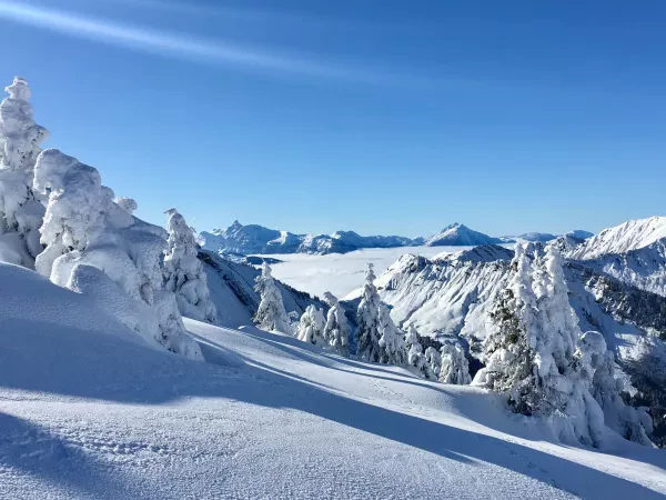 SNOWSHOES AND MOUNTAIN HUTS AT "LES PORTES DU SOLEIL"