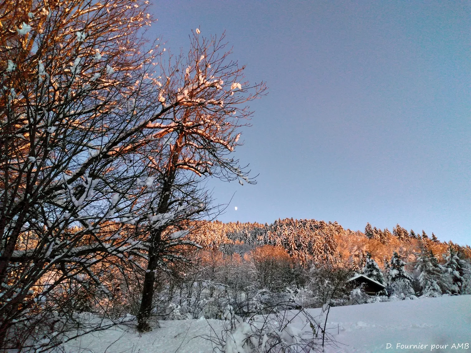 IMG_20211212_164401_GF