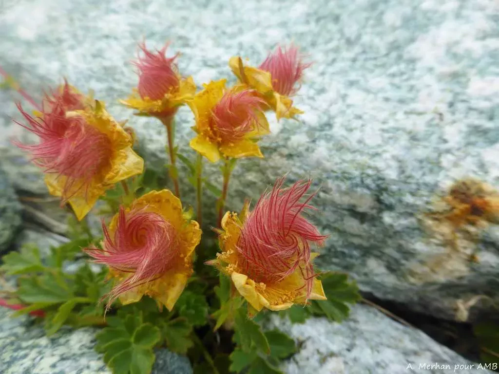 media-libraryeu8j7s1gj2cr1QNbRvC