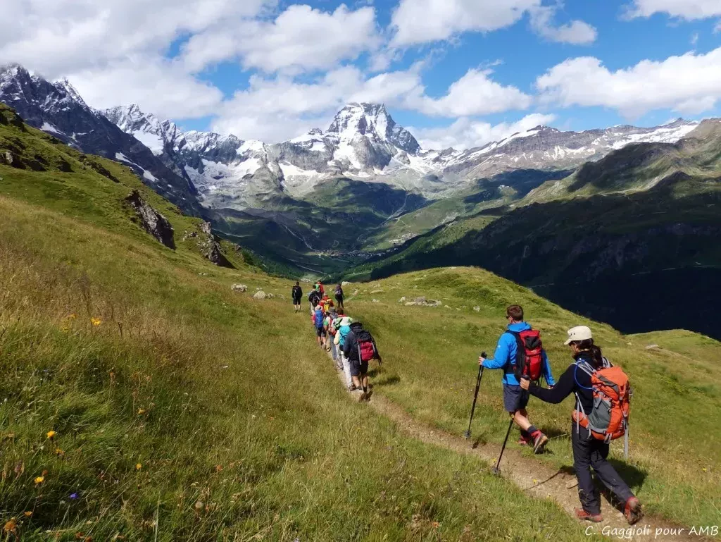 media-libraryftqulsdi01iba0s2VwD