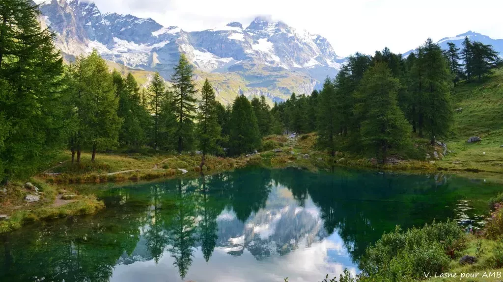 media-libraryqmvgouid048a6ere5rF