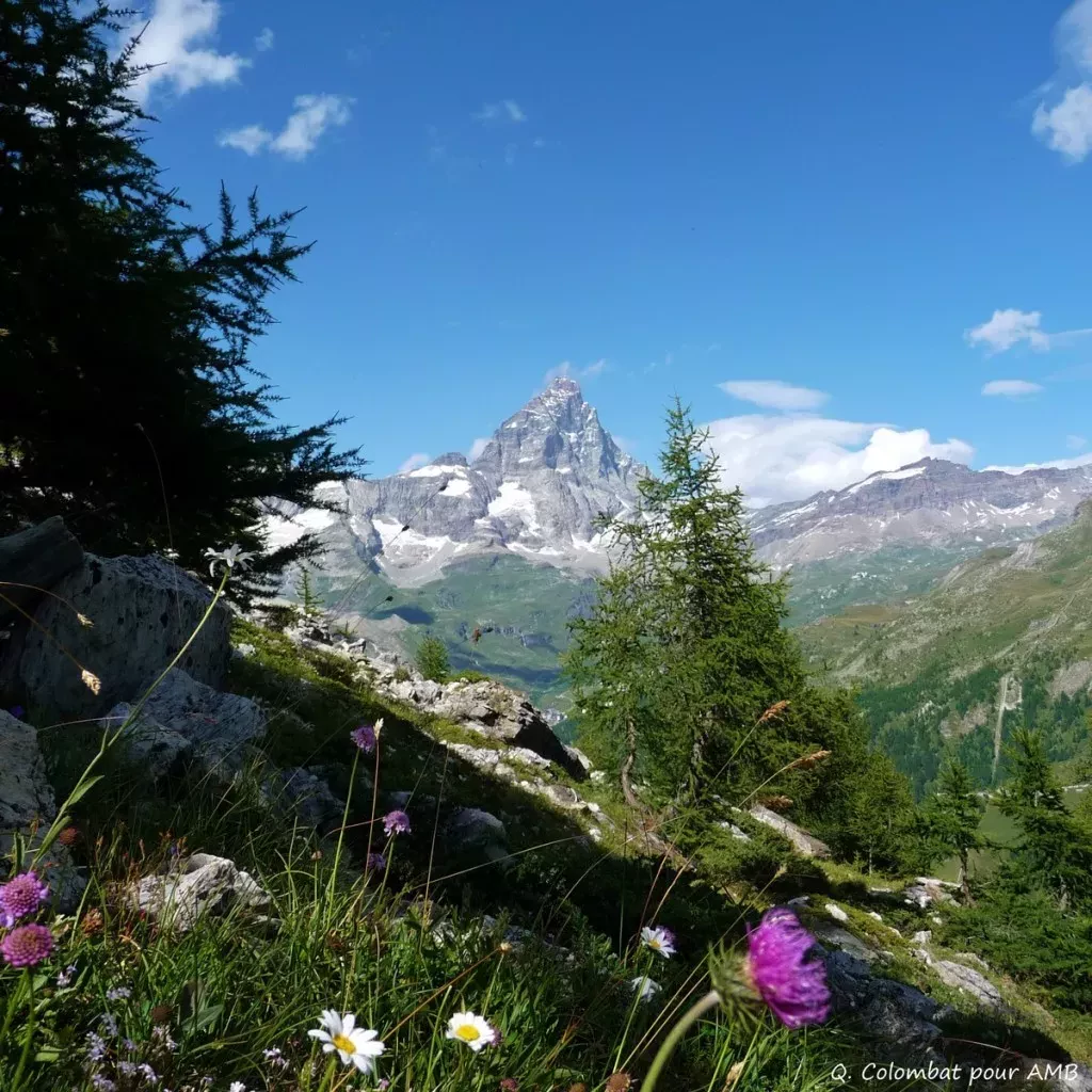 media-library5o3qb8170jfh7U0EvUC