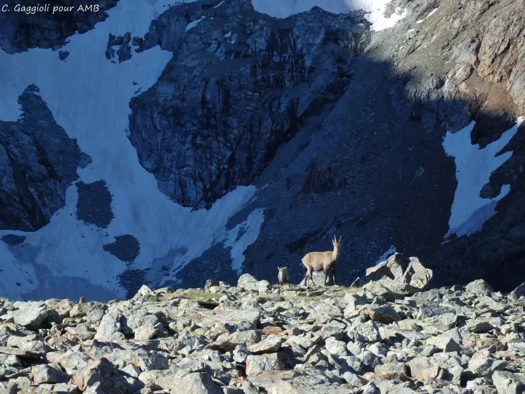 media-libraryog3f4b7m8vqh9UmVHtB