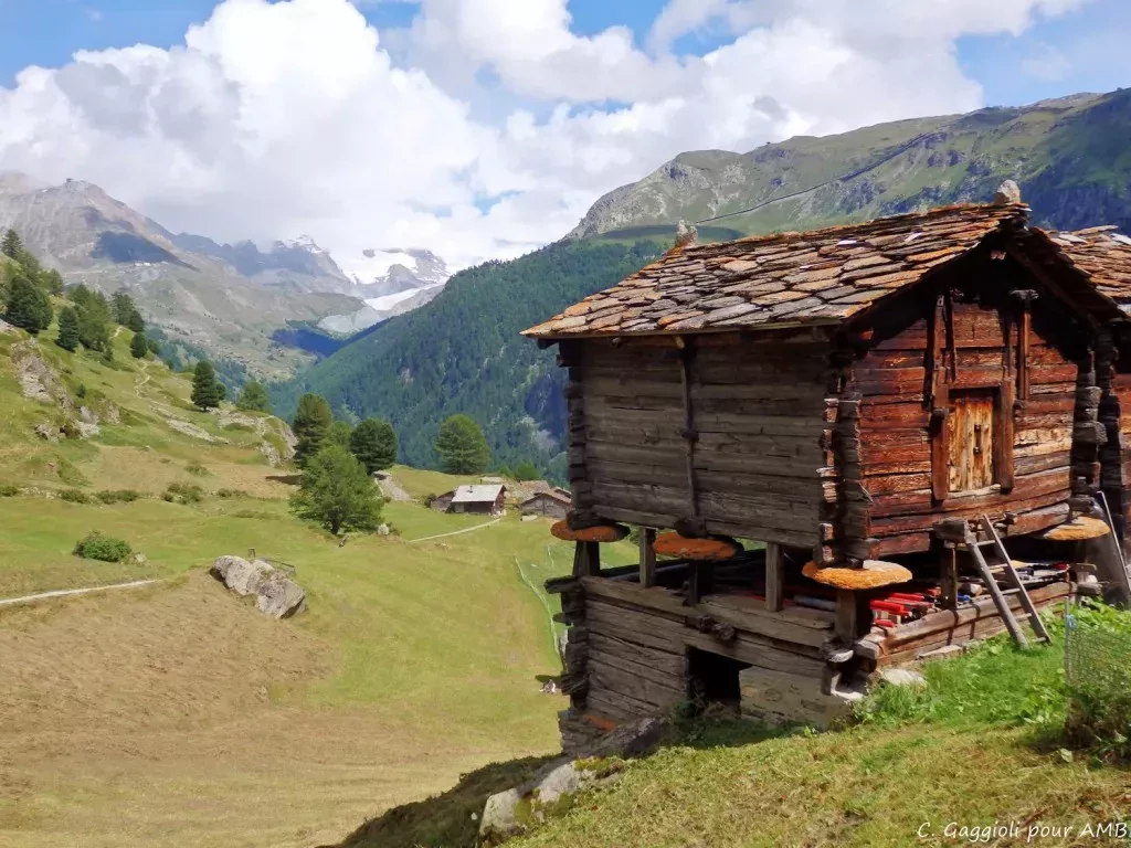 media-libraryul3sle3qspud7GQxD6C