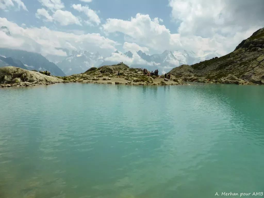 media-libraryg2brh68uooc331cCEkE