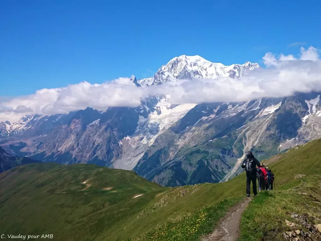 media-library5t2nhu17lhodekPQZhC