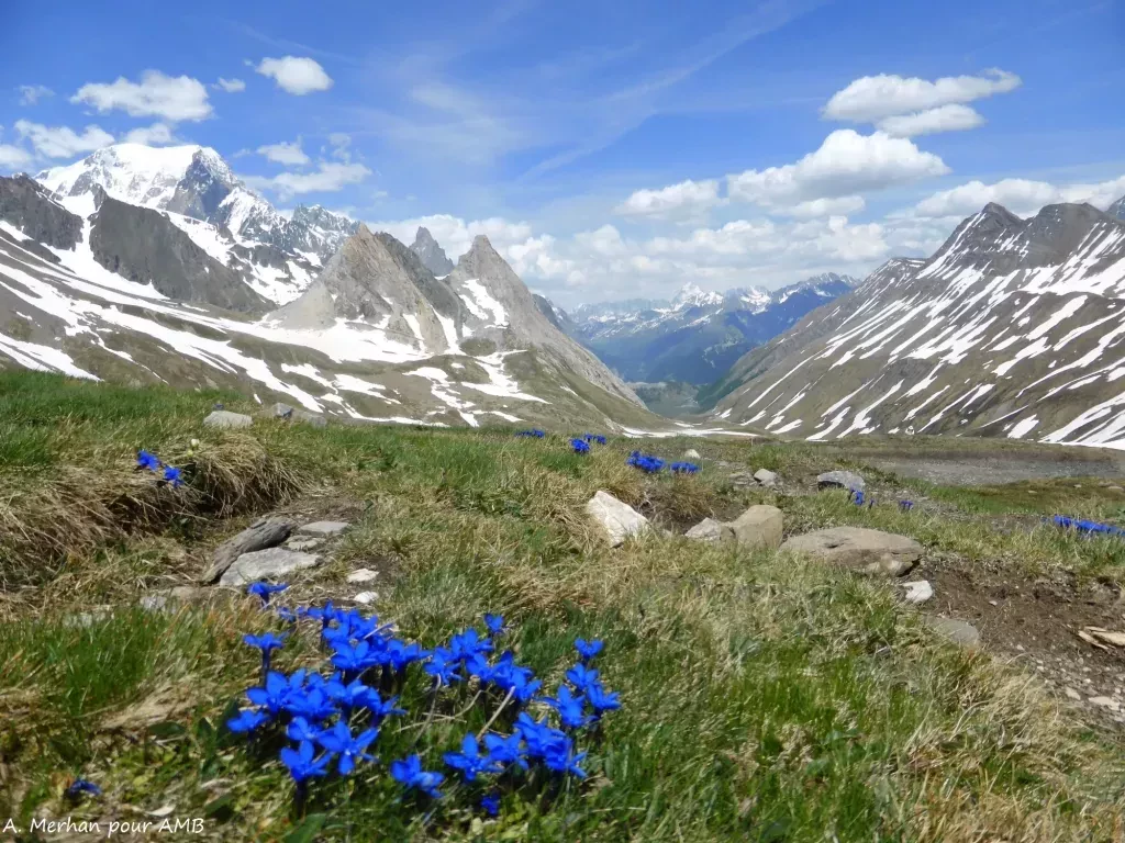 media-librarysq3n4lh8edqociYeoUD