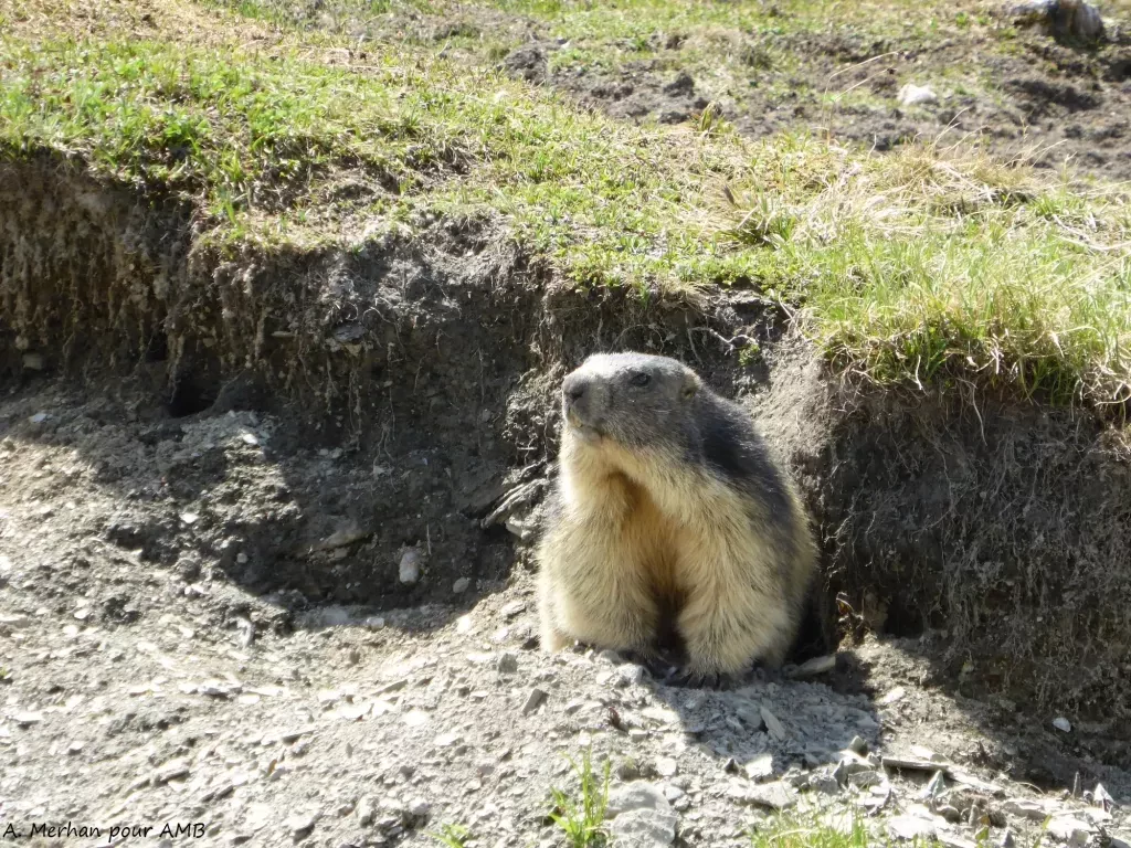 media-librarycq4tue5l68v4cdjVZkF