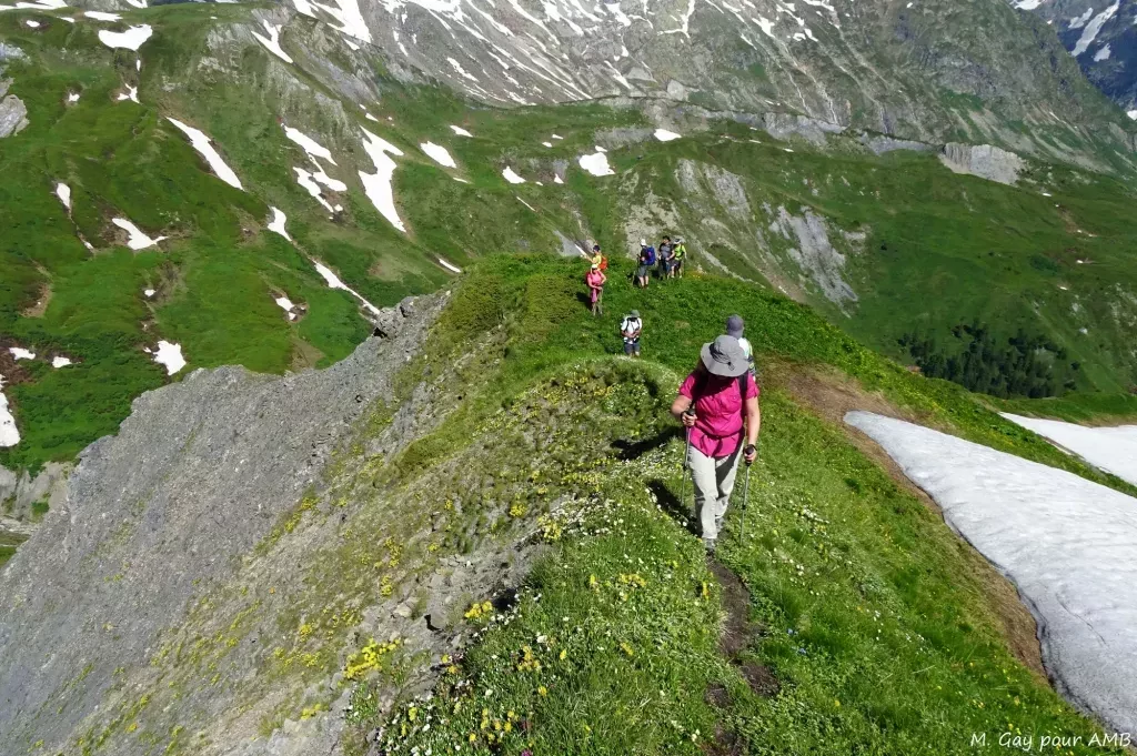 media-libraryajfprj9sijio0FrXziF