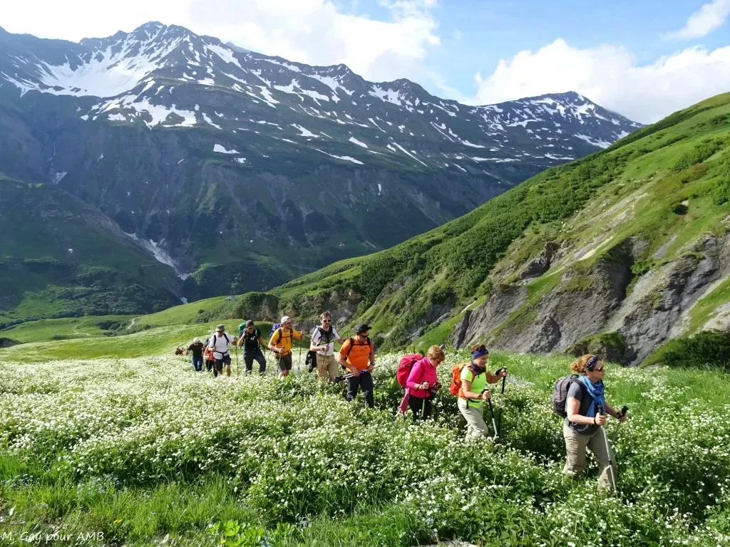 media-library3jrq1b72vvgn2ckpC3C