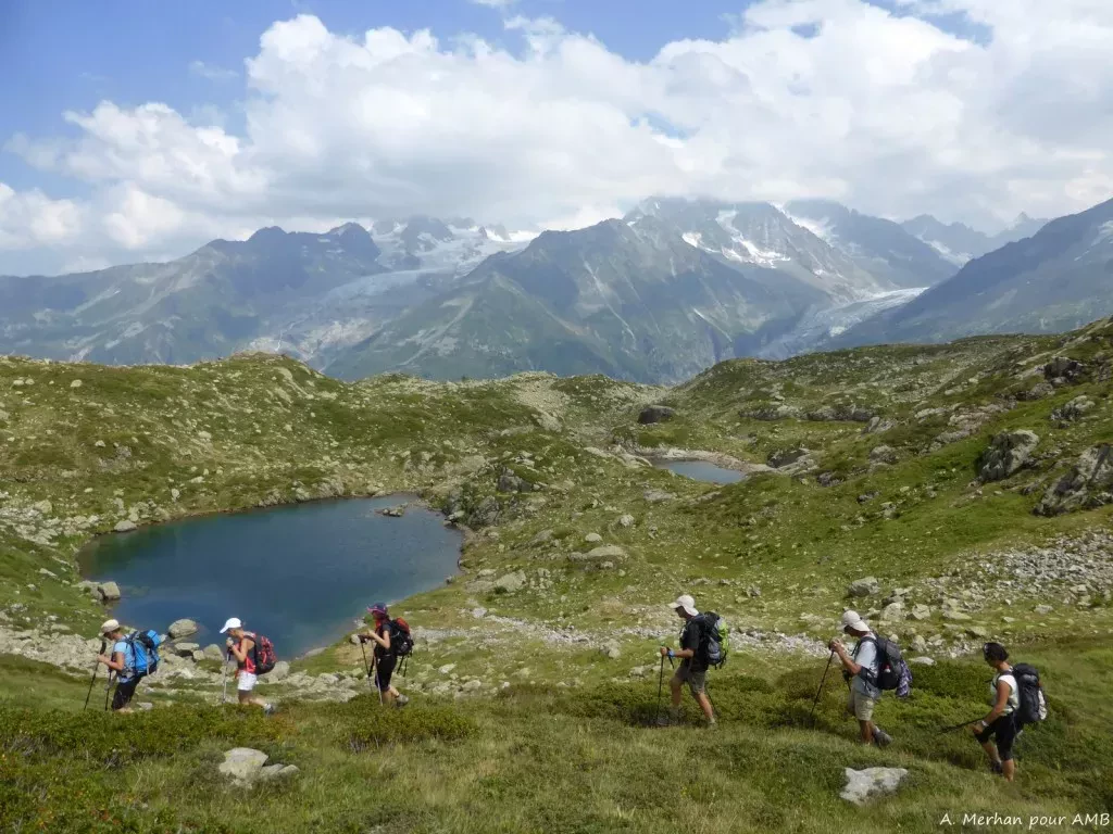 media-library8k4d1pfd94q8bKTrdCF