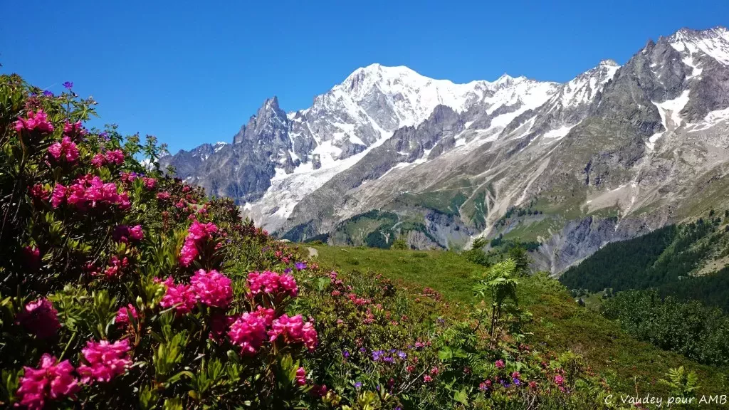 media-library9jtt89jh68dgfIikl4B