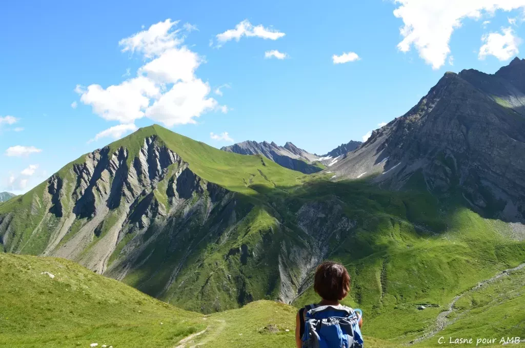 media-librarymeall7v1uvipdVwblfF