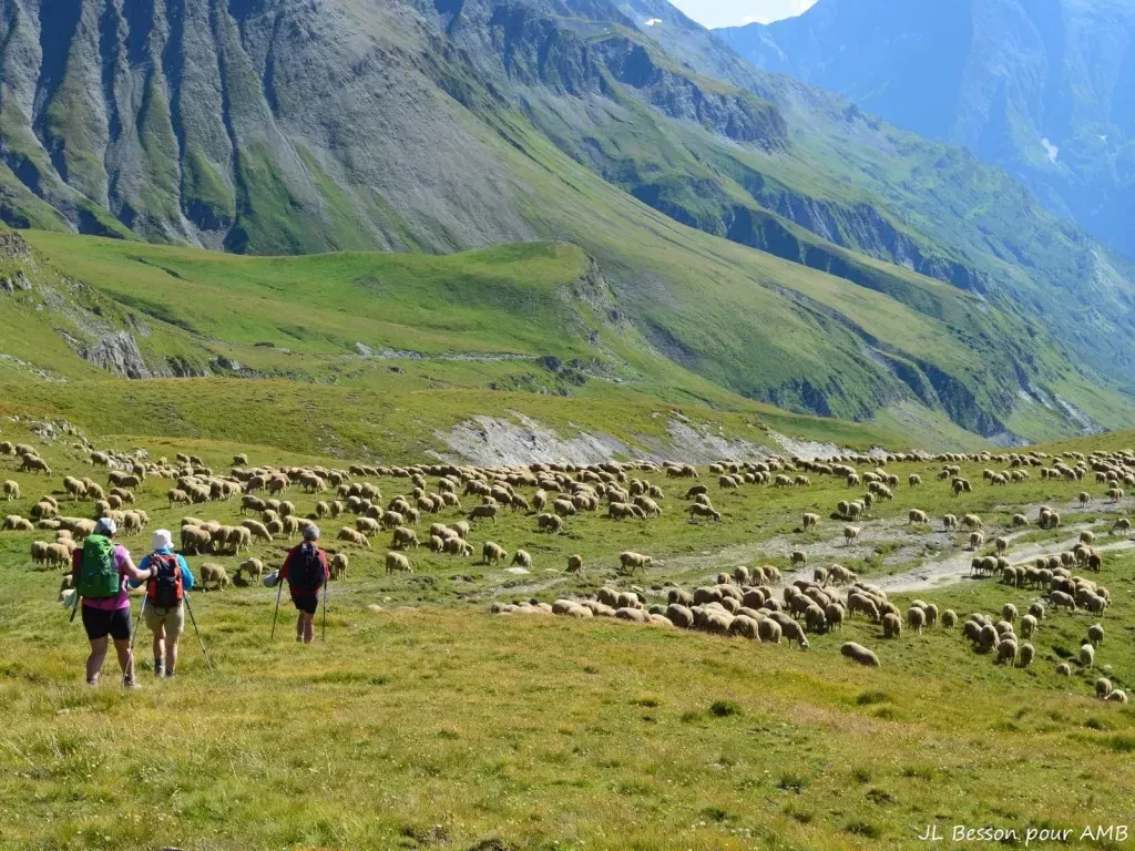 media-library7vnt158t3dqcaPuNq1D