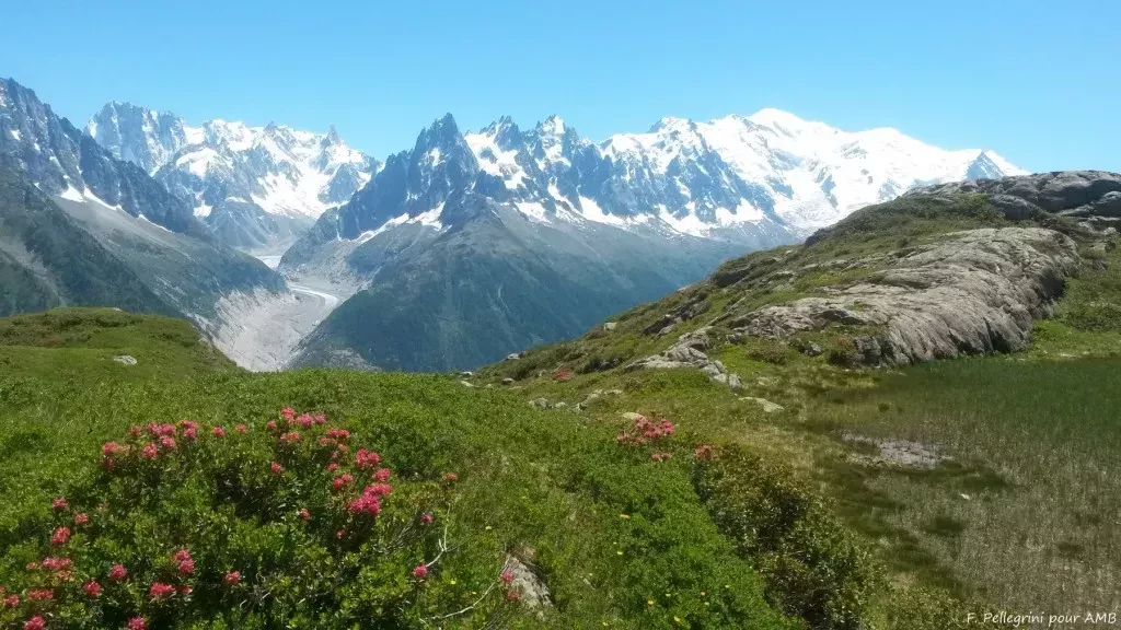 media-libraryqsmhpllr2o7s890JaFD