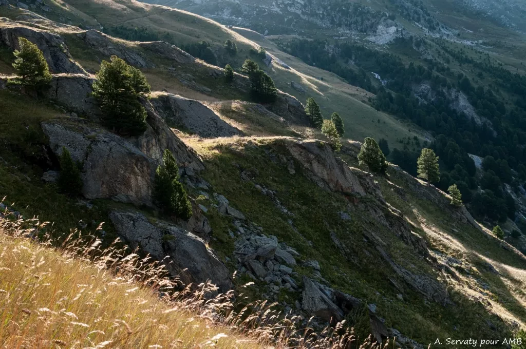 media-libraryj482je3nlo5haRXJj6D